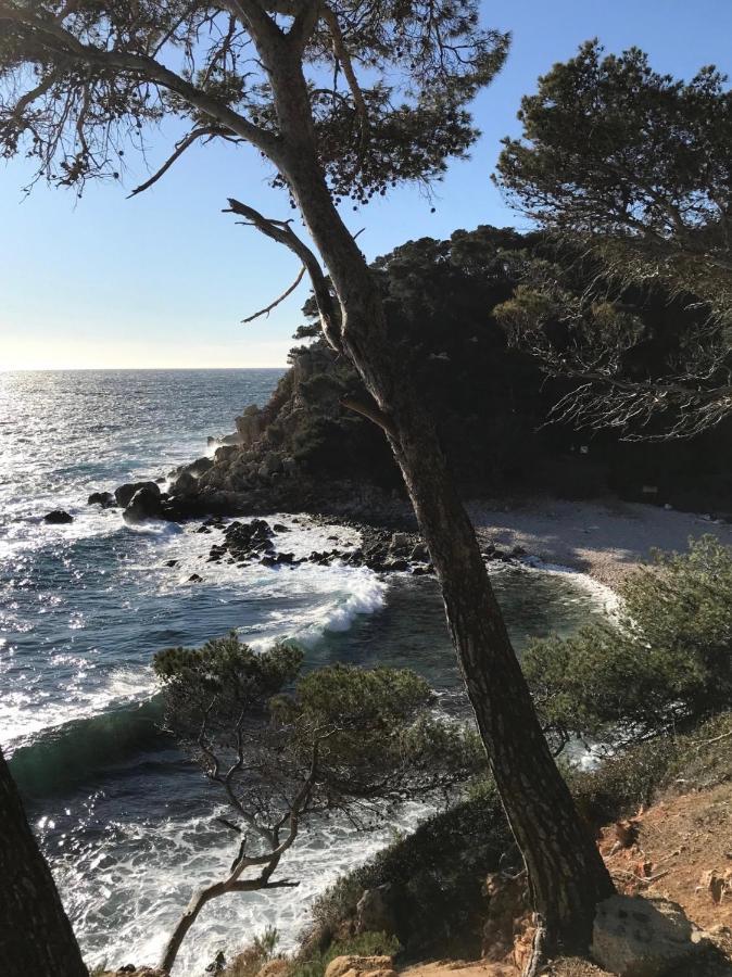 Villa Lucienne Bandol , T2 4 Etoiles Avec Garage, Dans Les Calanques Luaran gambar