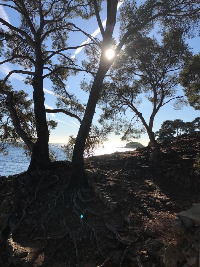 Villa Lucienne Bandol , T2 4 Etoiles Avec Garage, Dans Les Calanques Luaran gambar